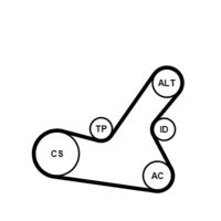 CONTINENTAL CTAM 6PK1564K2 - Juego de correas trapeciales poli V