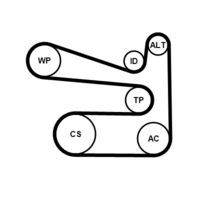 CONTINENTAL CTAM 6PK1693K1 - Juego de correas trapeciales poli V