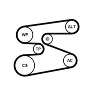 CONTINENTAL CTAM 6PK1698WP1 - 