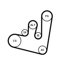 CONTINENTAL CTAM 6PK1660K1 - Juego de correas trapeciales poli V