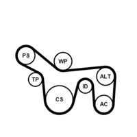 CONTINENTAL CTAM 6PK1715K1 - Juego de correas trapeciales poli V