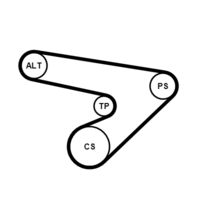 CONTINENTAL CTAM 6PK1725K1 - 