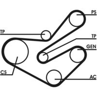 CONTINENTAL CTAM 6PK1740D1 - Juego de correas trapeciales poli V
