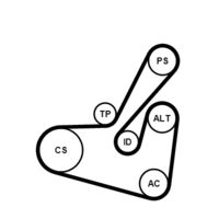 CONTINENTAL CTAM 6PK1750K1 - Juego de correas trapeciales poli V