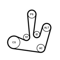 CONTINENTAL CTAM 6PK1795K1 - Juego de correas trapeciales poli V