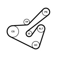 CONTINENTAL CTAM 6PK1725K2 - Juego de correas trapeciales poli V