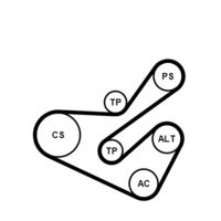 CONTINENTAL CTAM 6PK1740K1 - Juego de correas trapeciales poli V