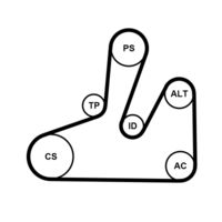 CONTINENTAL CTAM 6PK1740K4 - Juego de correas trapeciales poli V