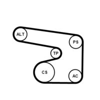 CONTINENTAL CTAM 6PK1900K1 - año construcción desde: 09/1994<br>Unidades accionadas: Alternador<br>Equipamiento de vehículo: para vehículos sin aire acondicionado<br>Equipos/Rodillos: incl. rodillo tensor<br>long. de embalaje [cm]: 26,5<br>Ancho de embalaje [cm]: 16,5<br>h embalaje [cm]: 9,5<br>Peso [kg]: 1,26<br>