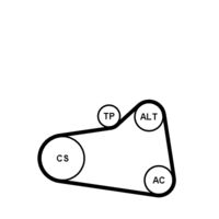 CONTINENTAL CTAM 6PK905 EXTRA K1 - Juego de correas trapeciales poli V