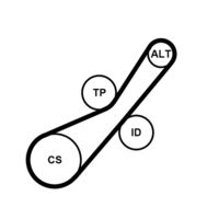 CONTINENTAL CTAM 6PK800K1 - Juego de correas trapeciales poli V