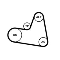 CONTINENTAL CTAM 6PK962K1 - Juego de correas trapeciales poli V