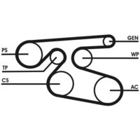 CONTINENTAL CTAM 7PK2000 - Correa trapecial poli V