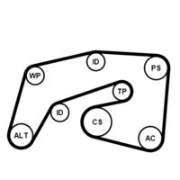 CONTINENTAL CTAM 7PK2035WP1 - 