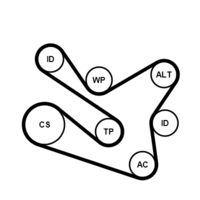 CONTINENTAL CTAM 7PK1570K1 - Juego de correas trapeciales poli V