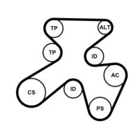 CONTINENTAL CTAM 7PK1855K1 - Juego de correas trapeciales poli V