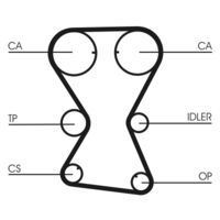 CONTINENTAL CTAM CT1000 - Correa dentada