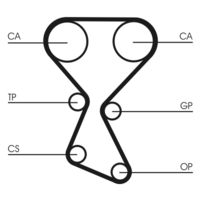 CONTINENTAL CTAM CT1027 - Correa dentada