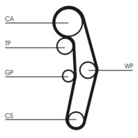 CONTINENTAL CTAM CT1028K5 - Juego de correas dentadas