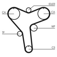 CONTINENTAL CTAM CT1029 - Correa dentada