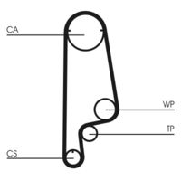 CONTINENTAL CTAM CT1070 - Ancho [mm]: 24<br>Número de dientes: 106<br>Correas: con perfil redondeado de dientes<br>Peso [kg]: 0,160<br>