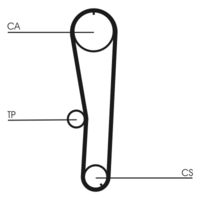 CONTINENTAL CTAM CT1072 - Ancho [mm]: 25<br>Número de dientes: 111<br>Correas: con perfil redondeado de dientes<br>Peso [kg]: 0,180<br>