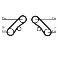 CONTINENTAL CTAM CT1074 - Correa dentada