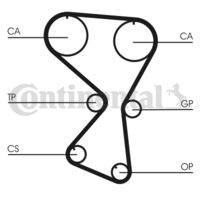 CONTINENTAL CTAM CT1075 - Correa dentada