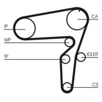 CONTINENTAL CTAM CT1076 - Correa dentada