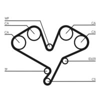 CONTINENTAL CTAM CT1113 - Correa dentada