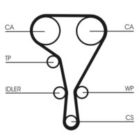 CONTINENTAL CTAM CT1127 - Correa dentada