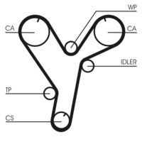 CONTINENTAL CTAM CT1080 - Correa dentada