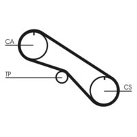 CONTINENTAL CTAM CT1082 - Correa dentada