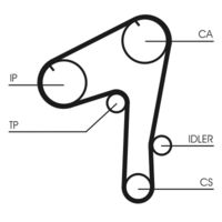 CONTINENTAL CTAM CT1084 - Correa dentada