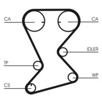 CONTINENTAL CTAM CT1108 - Correa dentada