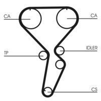 CONTINENTAL CTAM CT1116 - Correa dentada