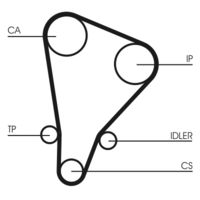 CONTINENTAL CTAM CT521 - Correa dentada