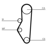 CONTINENTAL CTAM CT525 - Número de dientes: 113<br>Longitud [mm]: 1076<br>Ancho [mm]: 17<br>División dientes [mm]: 9,525<br>