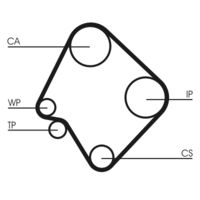 CONTINENTAL CTAM CT532 - Correa dentada