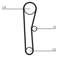 CONTINENTAL CTAM CT536 - Correa dentada