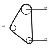 CONTINENTAL CTAM CT558WP1 - nº de motor desde: 02J22350<br>Longitud [mm]: 1057<br>Número de dientes: 111<br>Ancho [mm]: 17<br>División dientes [mm]: 9,525<br>