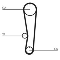 CONTINENTAL CTAM CT568 - Correa dentada