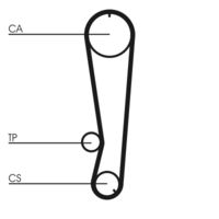 CONTINENTAL CTAM CT569 - Correa dentada