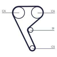 CONTINENTAL CTAM CT1157 - Correa dentada