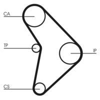 CONTINENTAL CTAM CT592 - Unidades accionadas: Árbol de levas<br>Número de dientes: 152<br>Ancho [mm]: 25<br>Correas: con perfil redondeado de dientes<br>