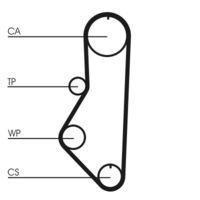 CONTINENTAL CTAM CT595 - Unidades accionadas: Árbol de levas<br>Número de dientes: 109<br>Ancho [mm]: 22<br>Correas: con perfil redondeado de dientes<br>