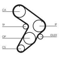 CONTINENTAL CTAM CT599 - Correa dentada