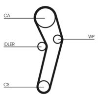 CONTINENTAL CTAM CT631 - Correa dentada