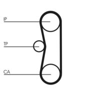 CONTINENTAL CTAM CT700K2PRO - Unidades accionadas: Árbol de levas<br>long. de embalaje [cm]: 26,5<br>Ancho de embalaje [cm]: 16,5<br>h embalaje [cm]: 9,5<br>Peso [kg]: 0,83<br>Número de dientes: 118<br>