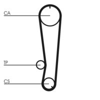 CONTINENTAL CTAM CT655 - Correa dentada